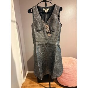 Alice's Pig Silver Metallic, Sleeveless Dress‎ Sz US 8